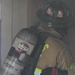 Meet your Posher, Benjamin